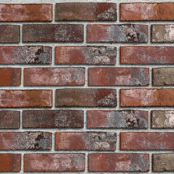 rbn_wiessmoor_rotblaubunt_0