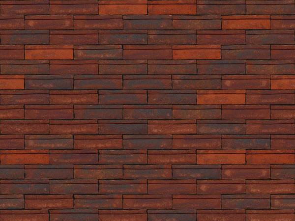 nelissen_dubio_salto_0