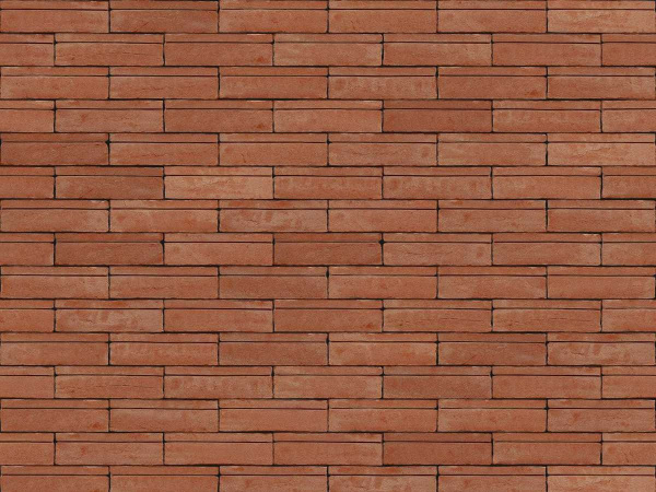 nelissen_dubio_rosso_0