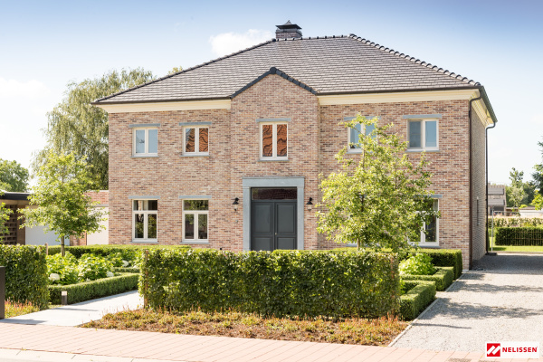 nelissen_classico_oldhaspengouw_1