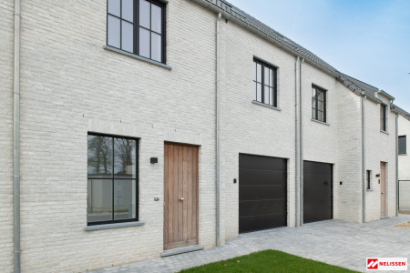 nelissen_koloronevoso_1