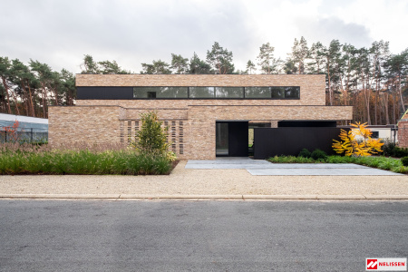 nelissen_nuancemaranello_1