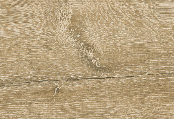 e_yoho_oak_0