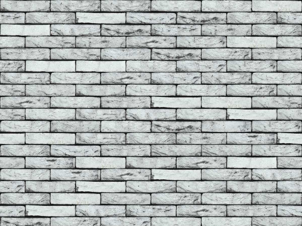 nelissen_koloroshadow_0