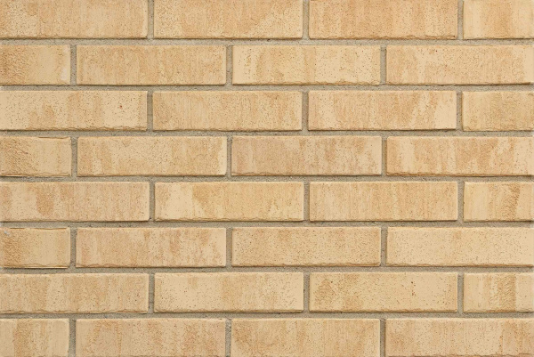 don_zori_tavricheskiy_1