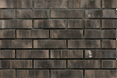 don_zori_bronnitsky_1