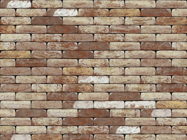 nelissen_classico_oldhaspengouw_0