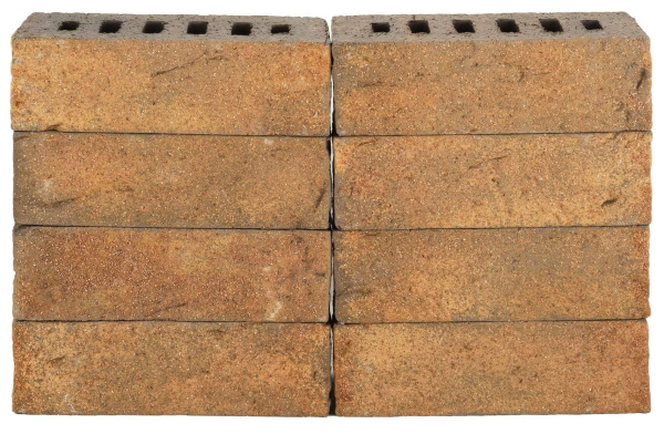 don_zori_kl_ushakovo_1