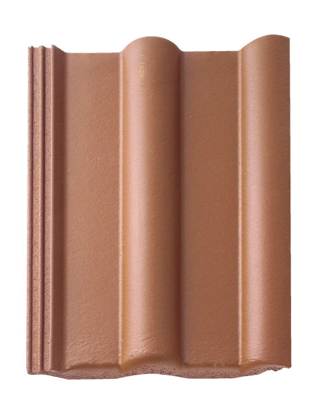 brs_fanfruktskay_brown_0