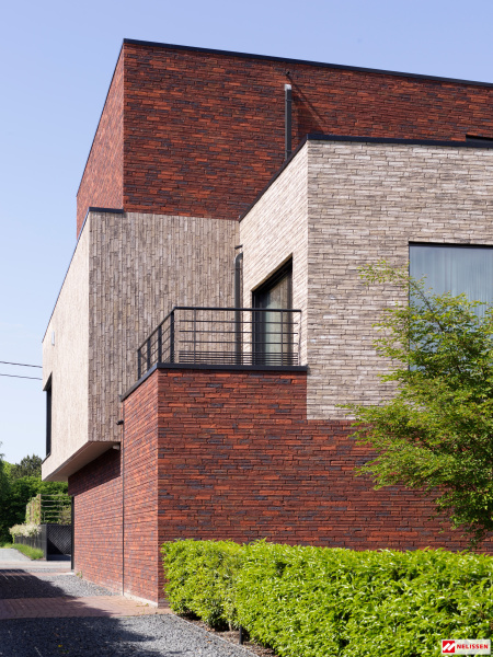 nelissen_dubio_salto_1