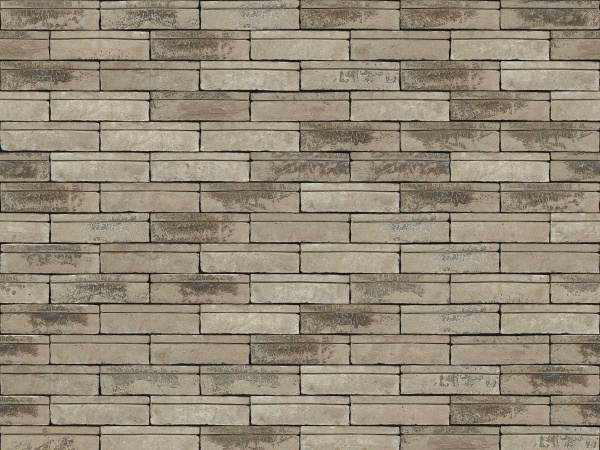 nelissen_dubio_roca_0