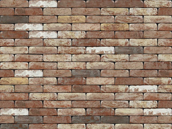 nelissen_classico_vegamod50_0