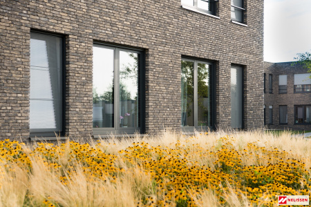 nelissen_grigiocarma_1